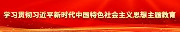 坤巴插进洞穴学习贯彻习近平新时代中国特色社会主义思想主题教育