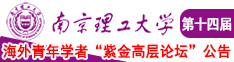 上吃下舔抽插搔逼视频南京理工大学第十四届海外青年学者紫金论坛诚邀海内外英才！